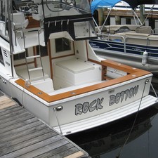 Blackfin 29 combi