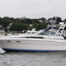 Sea Ray 300 Sundancer