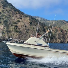 Skipjack 25 flybridge