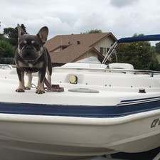 Hurricane fundeck 232