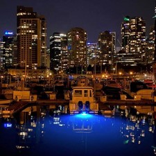 Boston Whaler 315 Conquest Pilothouse