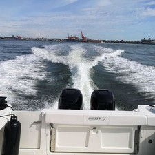 Boston Whaler 315 Conquest Pilothouse