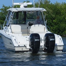 Triton 301 XD