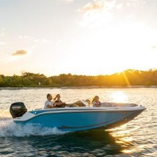 Bayliner M17