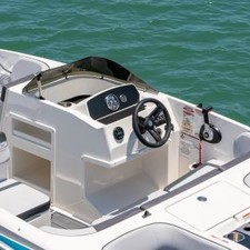 Bayliner M17