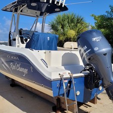 Cobia 217 center console