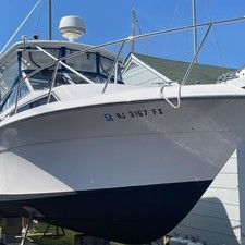 Wellcraft 290 Coastal