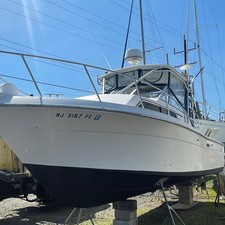 Wellcraft 290 Coastal