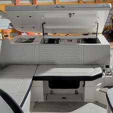 Sea Ray SPX 230 Sterndrive