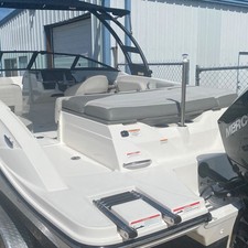 Sea Ray SPX 210 OB