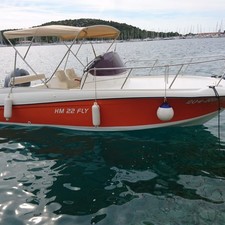 HM 22 Fly