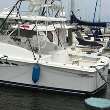 Luhrs 290 open