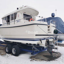 Sargo 31