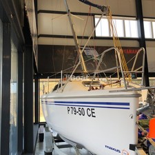 Northman Maxus Evo 24