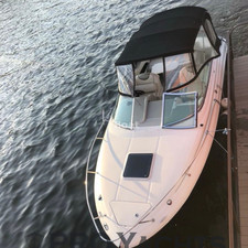 Sea ray 225 weekender