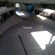 Campion Allante 545i