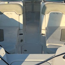 Sea Ray 260 Sundeck