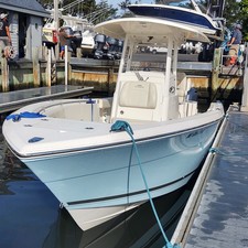 Cobia 262
