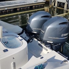 Cobia 262