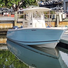 Cobia 262