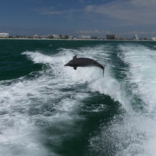 Sea Ray 350 Sundancer