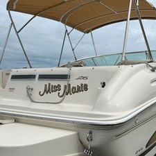 Sea ray 215 express cruiser