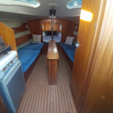 Delphia 29