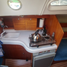 Delphia 29