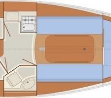 Delphia 29
