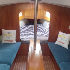 Delphia 29