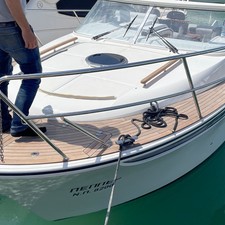 Marex Sun Cruiser 310