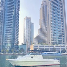 Gulf Craft 31
