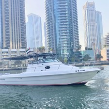 Gulf Craft 31