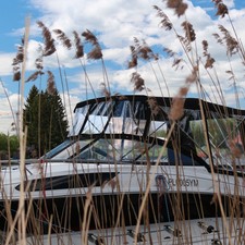 Bayliner VR5 Cuddy
