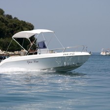 Bellingardo Lady 500