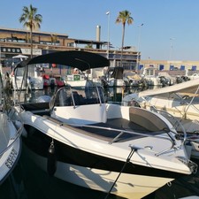 Barracuda 545