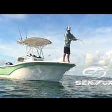 Sea Fox 206 Commander