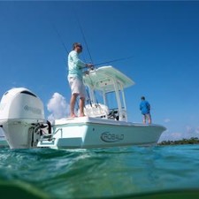 Robalo 246 Cayman