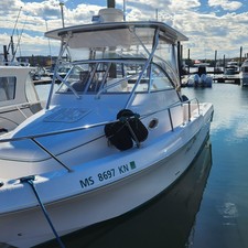 Pro-line 30 sport wa