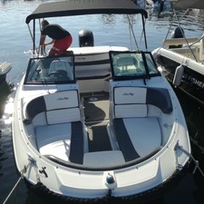 Sea ray 19 spx