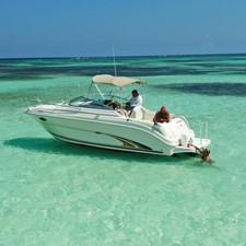 Sea ray 250