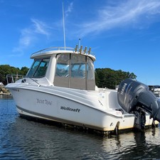 Wellcraft 290 Coastal