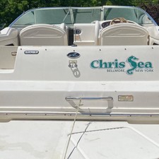 Sea ray 225 weekender