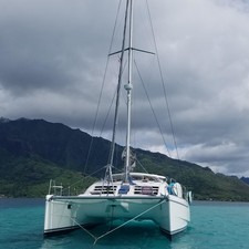 Leopard 43
