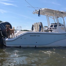 Sea Fox 266 Commander