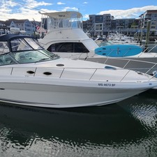 Sea ray sundancer
