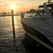 Chaparral 290 Signature