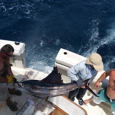Bertram 46.6' SPORTFISH FLYBRIDGE CONV