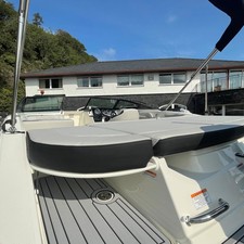 Sea Ray SPX 190 OB
