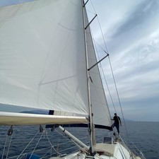 Bavaria 44
